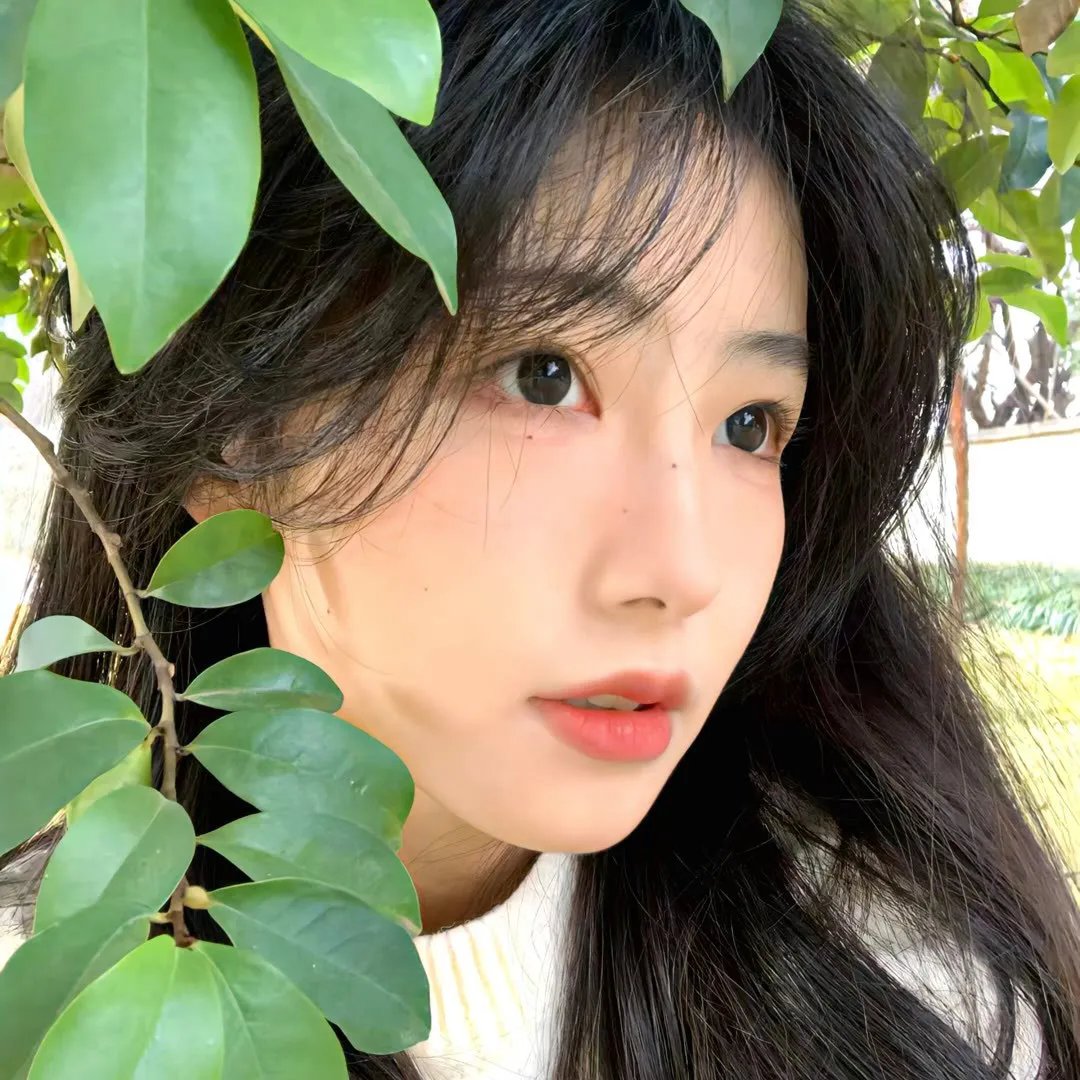 流星的启示